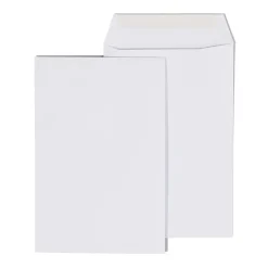 Staples Economy Gummed Catalog Envelopes, 6" x 9", White, 250/Box (50303T)