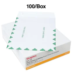 Staples First Class EasyClose Catalog Envelopes, 9