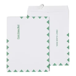 Staples First Class EasyClose Catalog Envelopes, 10" x 13", White with Green Diamond Border, 100/Box (SPL486930)