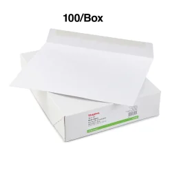 Staples Gummed Booklet Envelopes, 10