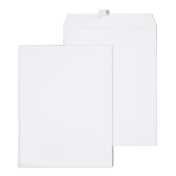 Staples Gummed Catalog Envelopes, 10"L x 13"H, White, 100/Box (295840N)