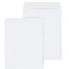 Staples Gummed Catalog Envelopes, 9"L x 12"H, White, 100/Box (50264/47286N)