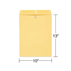 Staples Kraft Clasp & Moistenable Glue Catalog Envelopes, 10" x 13", Brown, 100/Box (ST187039-CC)