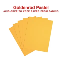Staples Pastel 30% Recycled Color Copy Paper, 20 lbs., 8.5