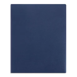 Staples 2-Pocket Plastic Presentation Folder, Dark Blue (21640-CC/20632)