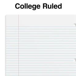 Staples Premium 5-Subject Notebook, 8.5