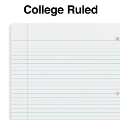 Staples Premium 2-Subject Notebook, 8.5