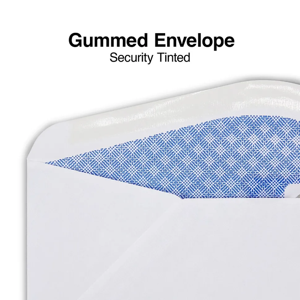 Staples Security Tinted #9 Double Window Envelopes, 3 7/8" x 8 7/8", White, 500/Box (ST266759-CC)
