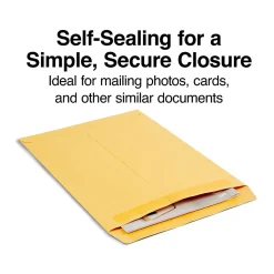 Staples Self Seal #13 1/2 Kraft Catalog Envelope, 10" x 13", Brown, 250/Box (ST486933-CC)