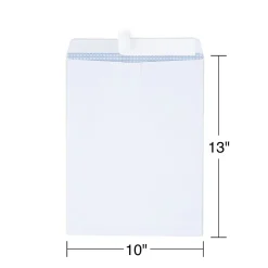 Staples Self Seal Catalog Envelopes, 10