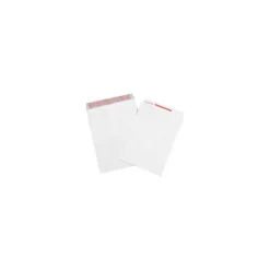 Staples® Self Seal Catalog Envelope 10" x 13", White, 100/Carton (TYF1013TE)