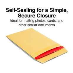 Staples Self Seal Kraft Catalog Envelopes, 6”x9”, Brown, 100/Box (50262)