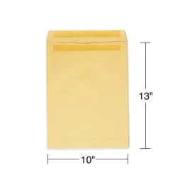 Staples Self Seal Kraft Catalog Envelopes, 10
