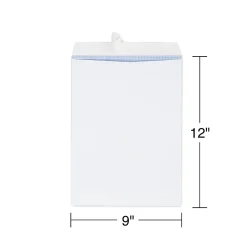 Staples Self Seal Security Tinted Catalog Envelopes, 9