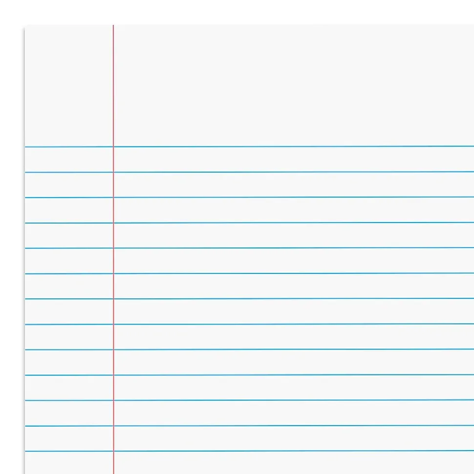 Staples® Steno Pads, 6'' x 9'', Narrow Ruled, 100 Sheets/Pad, 4 Pads/Pack (28046)