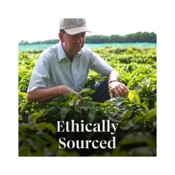 Starbucks Gingerbread Coffee Keurig K-Cup Pods, Light Roast, 22/Box (12449103)