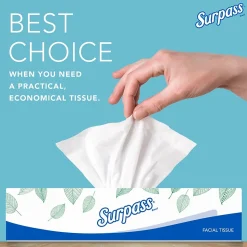 Surpass Standard Facial Tissue, 2-Ply, 100 Sheets/Box, 30 Boxes/Pack (21340)