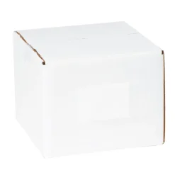 Tape Logic Block Out Labels, 4" x 6", White, 500/Roll (DL1384W)