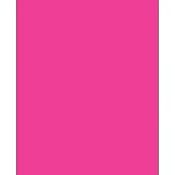 Tape Logic® Rectangle Laser Labels, 8 1/2" x 11", Fluorescent Pink, 100/Case (LL185PK)