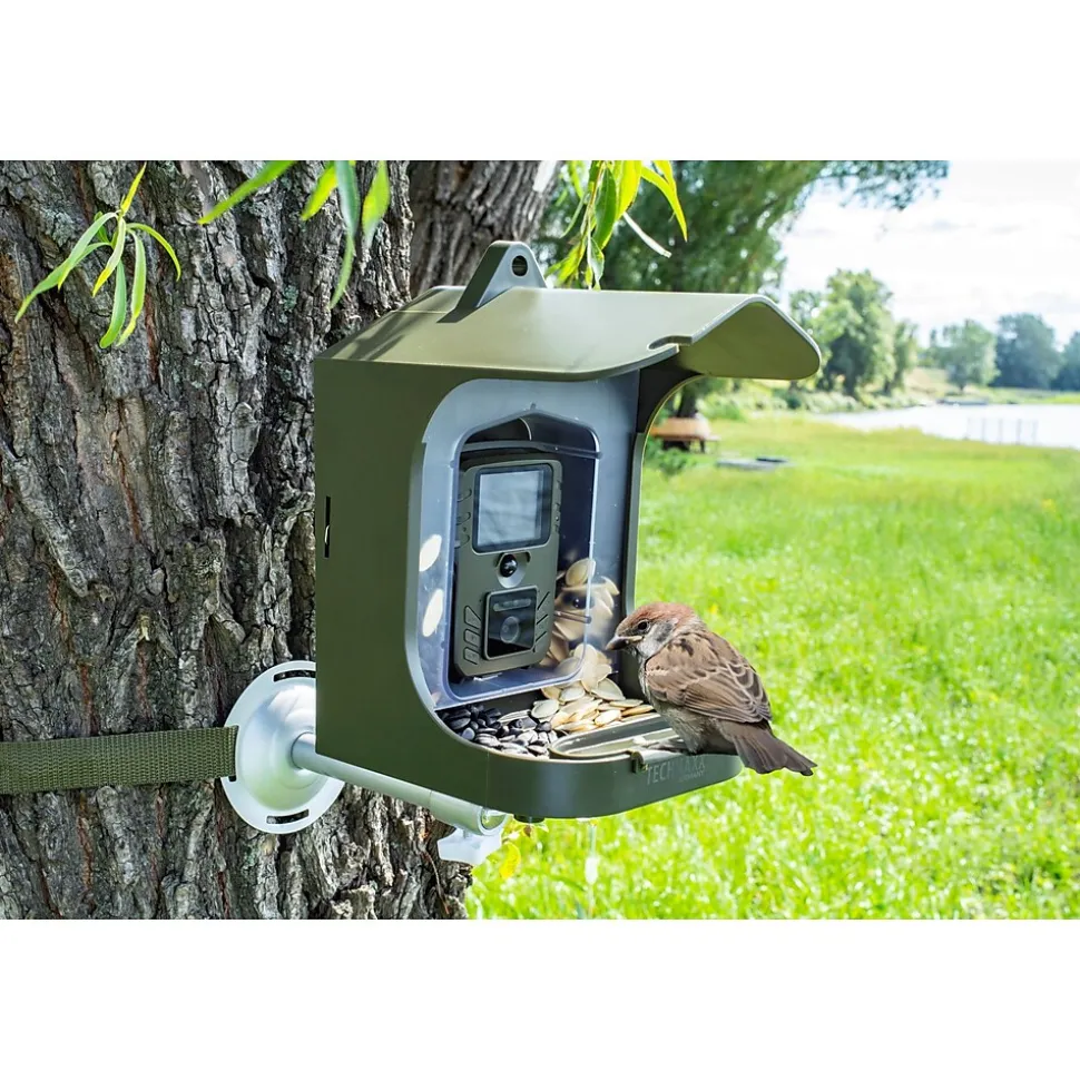 Technaxx TX-165 Full HD Birdcam (4923)