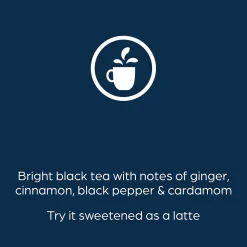 The Bright Tea Co. Chai Spice Tea, Flavia Freshpack, 100/Carton (MDRB501)