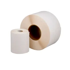 Thermal Transfer Labels, 4" x 6", 4,000/Carton (FLTT4X61000P)