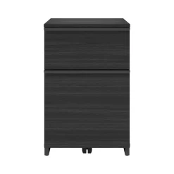 Thomasville Furniture Latimer 2-Drawer Vertical File Cabinet, Pedestal, Burnt Ash, 20.8"D (SPLS-LADF-TV)