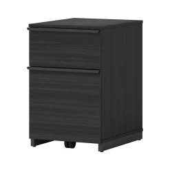 Thomasville Furniture Latimer 2-Drawer Vertical File Cabinet, Pedestal, Burnt Ash, 20.8"D (SPLS-LADF-TV)