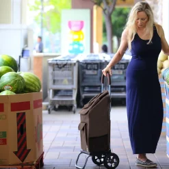 Trolley Dolly Standard Folding Hand Truck, 110 lb. Capacity, Brown (01-061)