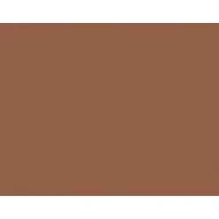 Tru-Ray® Construction Paper, Warm Brown, 18" x 24", 50 Sheets Per Pack, 2 Packs (PAC103089-2)