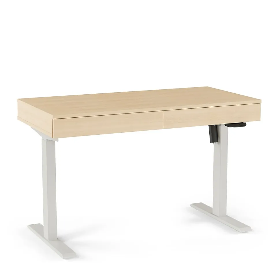 Union & Scale™ Essentials 48"W Rectangular Adjustable Standing Desk, Natural (UN60416-CC)