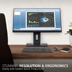 ViewSonic Ergonomic 24