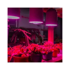 Viribright Virigrow 9-Watt Full-Spectrum LED Grow Light Bulb, 4/Box (290103-4)