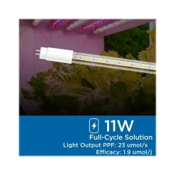 Viribright 11-Watt Full-Spectrum LED Leaf Grow Light Bulb (290108)