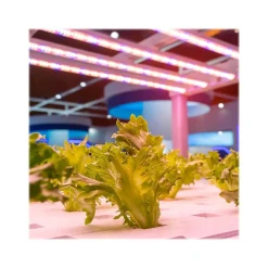 Viribright 11-Watt Full-Spectrum LED Leaf Grow Light Bulb (290108)