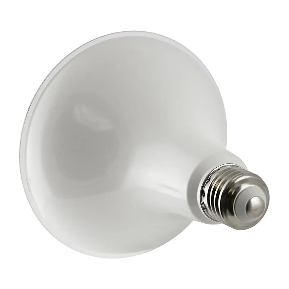 Viribright 12-Watt Soft White LED Floodlight Bulb, 4/Box (450159-ES)