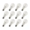 Viribright 15-Watt Warm White LED General-Purpose Bulb, Dozen (651638-12ES)