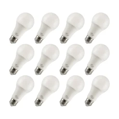 Viribright 15-Watt Warm White LED General-Purpose Bulb, Dozen (651638-12ES)