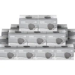 WeCare Disposable KN95 Face Mask, Adult, Dark Gray, 20 Masks/Box, 50 Boxes/Pack (TBN203231)