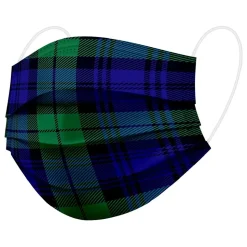 WeCare 3-ply Disposable Face Mask, Kids, Green Plaid, 50/Box (WMN100049)