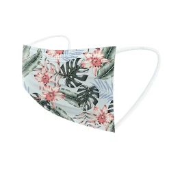 WeCare 3-ply Disposable Face Masks, Kids, Assorted Summer Designs, 50/Box (WMN100101)