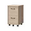 Whalen Dulzura 2-Drawer Mobile Vertical File Cabinet, Letter/Legal Size, 29.25"H x 17"W x 20"D, Warm Brown (SPUS-DZMF-LBM)