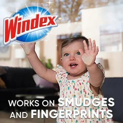 Windex Glass & More Cleaner with Ammonia-D, Unscented, 5 gal. Bag-in-Box Dispenser (696502)