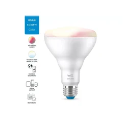 WiZ 65W Equivalent BR30 LED Smart Bulb, White (603456)