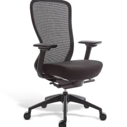 Workplace2.0™ Ayalon Ergonomic Fabric Swivel Task Chair, Black (UN51505)