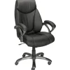 Workplace2.0™ Ramsey Ergonomic Bonded Leather Swivel Manager Chair, Black (ST62216)