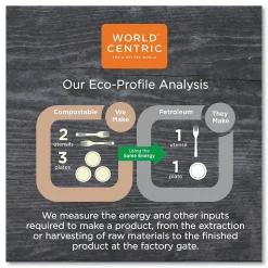 World Centric 100 Percent PCW Recycled Multifold Paper Towels, 1-Ply, Natural, 250/Pack, 16 Packs/Carton (WORTWPAMF)