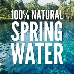 Zephyrhills 100% Natural Spring Water, 16.9 oz. Plastic Bottles, 24/Carton (11475233)